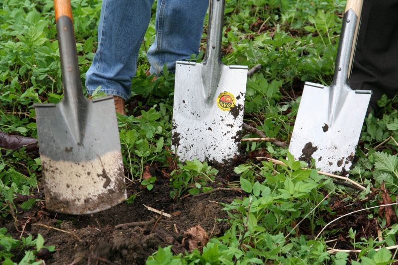 pepiniere-BOUYON-min_work-lawn-flower-tool-green-backyard-1103633-pxhere.com